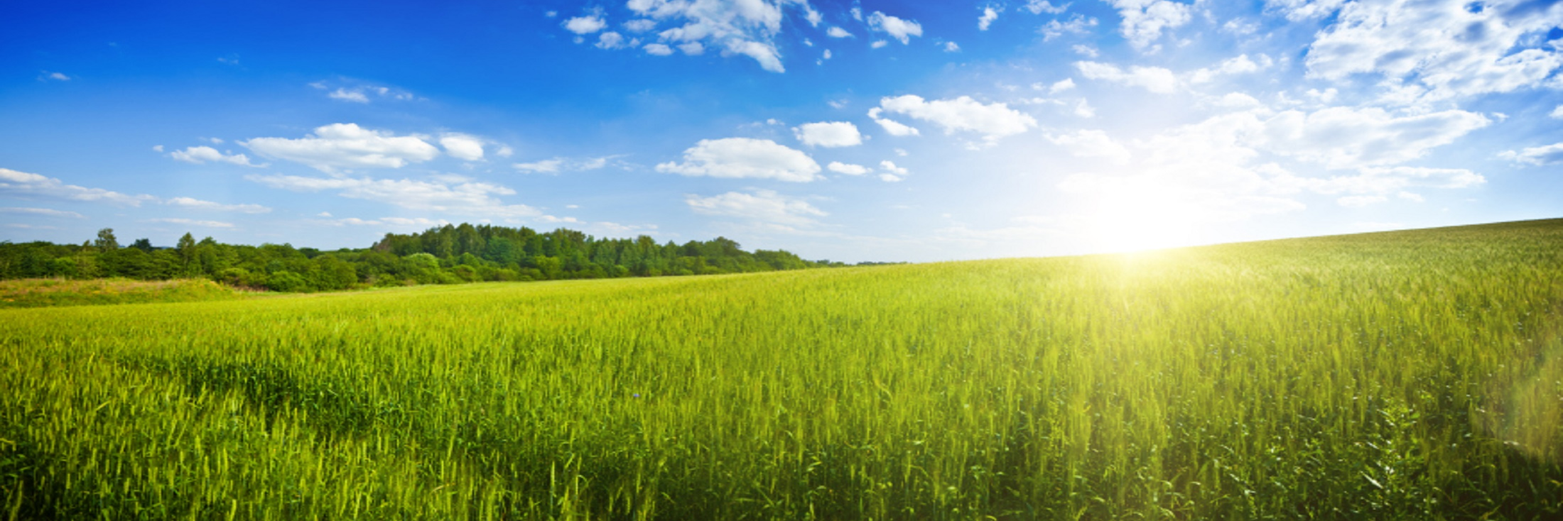 Header image background